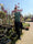 Image to render