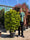 Image to render