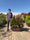 Image to render