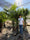 Image to render
