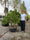 Image to render