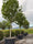 Image to render