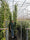 Image to render