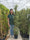Image to render
