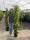 Image to render