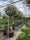 Image to render
