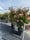 Image to render