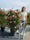 Image to render