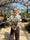 Image to render