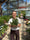 Image to render