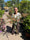 Image to render