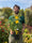 Image to render