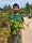 Image to render