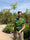 Image to render