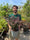 Image to render