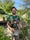 Image to render