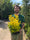 Image to render