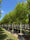 Image to render