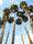 Image to render