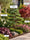 Image to render
