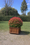Image to render