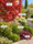 Image to render