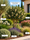 Image to render