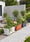Image to render