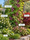 Image to render