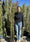 Image to render