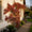 Image to render