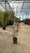 Image to render