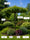 Image to render