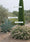 Image to render