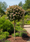 Image to render