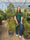Image to render