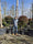 Image to render