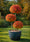 Image to render