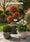 Image to render