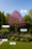 Image to render