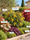 Image to render