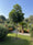 Image to render