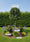 Image to render