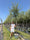 Image to render