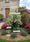 Image to render
