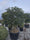 Image to render