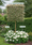 Image to render