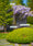 Image to render