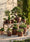 Image to render