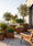 Image to render